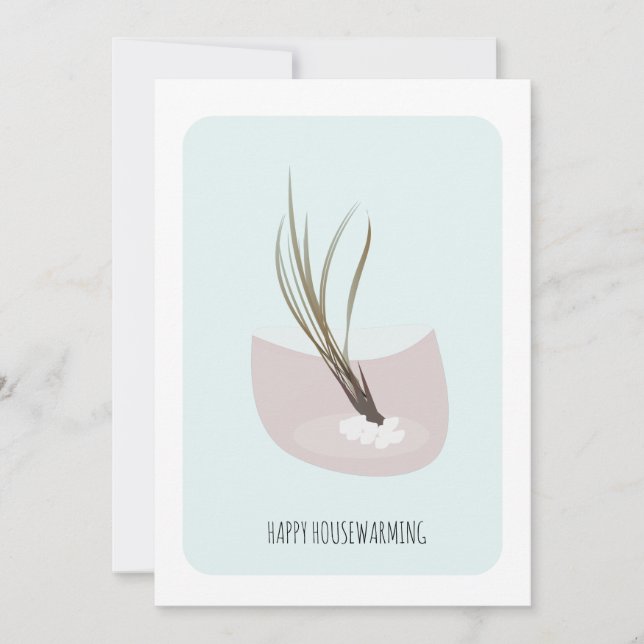 AirPlant New Home Party (Devant)