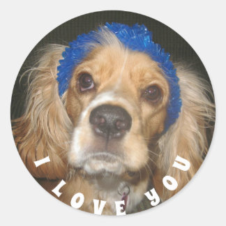 Ajouter Photo Love You Classic Round Sticker