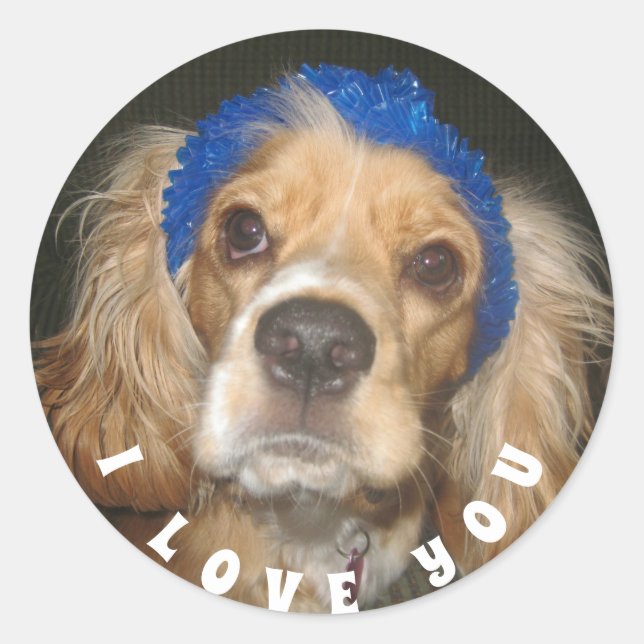 Ajouter Photo Love You Classic Round Sticker (Devant)