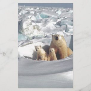 Ajouter SLOGAN pour sauver les ours polaires arcti