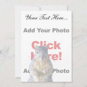 Ajouter Un Écureuil Personnalisé