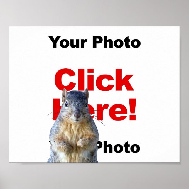 Ajouter un écureuil personnalisé Photo Poster (Devant)
