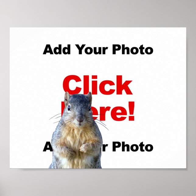 Ajouter une affiche photo personnalisée d'un écure (Devant)