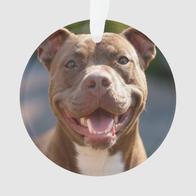 Ajouter une Personnaliser photo Pit Bull (devant)