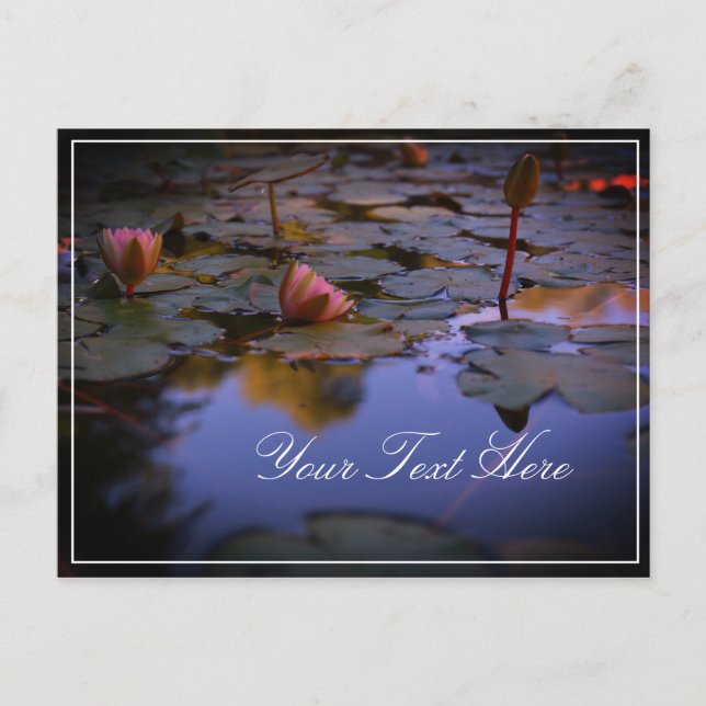Ajouter Votre Texte Eau Lily Belle Carte Postale (Devant)