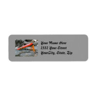 AJS Saltwater Lure Popper Firebird Étiquette de ad