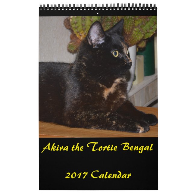 Akira la Tortie Bengale 2017 Calendrier moyen (Protection)