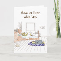 Akita Bossy Dog - Drôle carte d'anniversaire