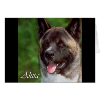 Akita Dons d'Art