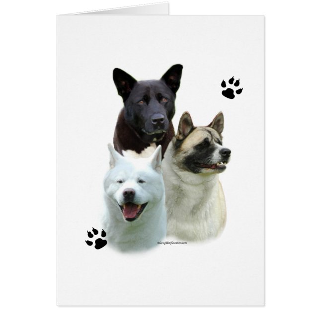 Akita Trio (Devant)