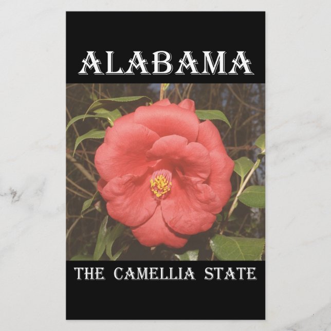 Alabama Camellia (Rouge) (Devant)
