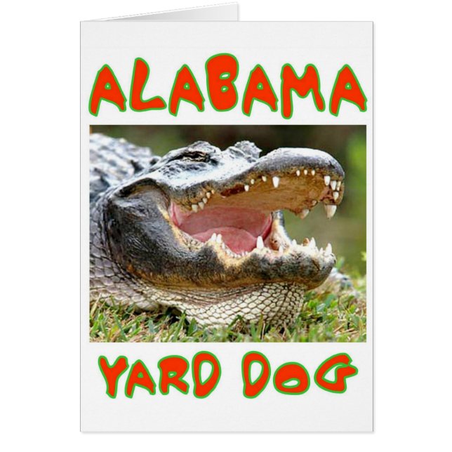ALABAMA YARD CHIEN (Devant)