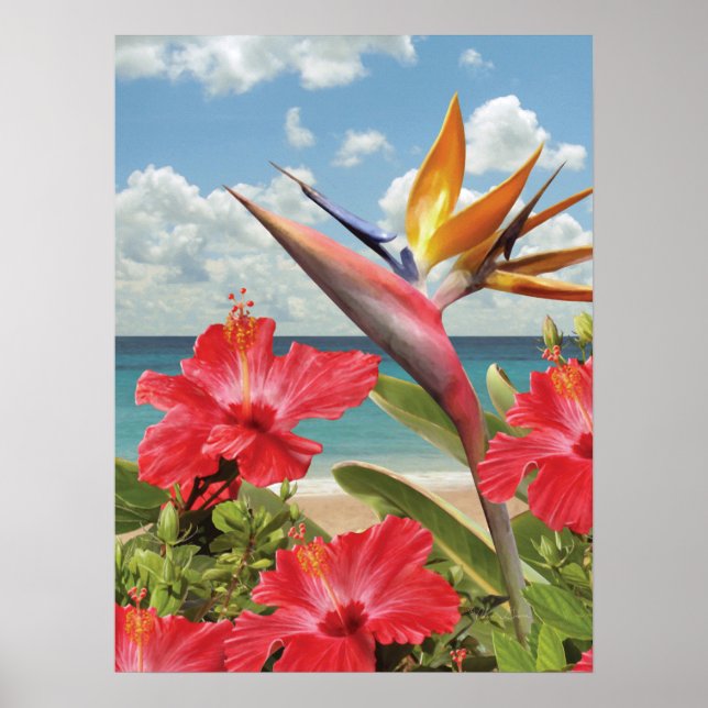 Alan Giana "Hibiscus in Paradise" Poster (Devant)