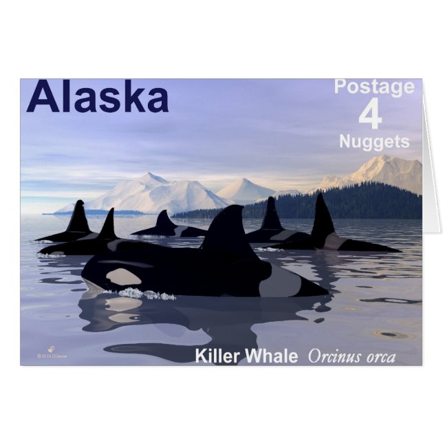 Alaska Killer Whales Stamp (Devant horizontal)