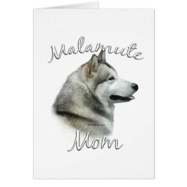 Alaskan Malamute Maman 2 (Devant)