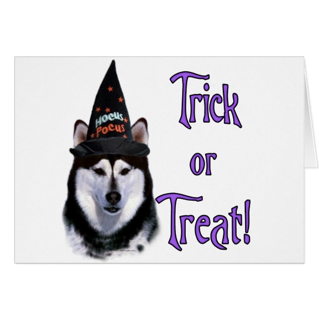 Alaskan Malamute Trick (Devant horizontal)