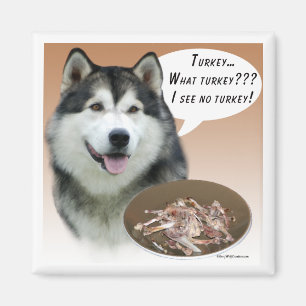 Alaskan Malamute Turquie Magnet