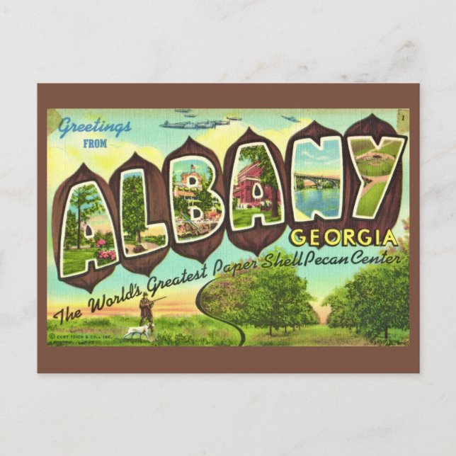 Albany Géorgie Carte Postale Ancienne (Devant)