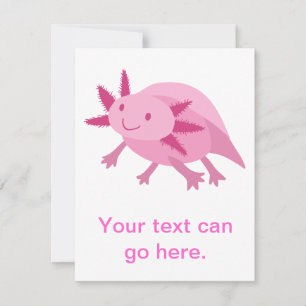 Albino rose mignon Axolotl