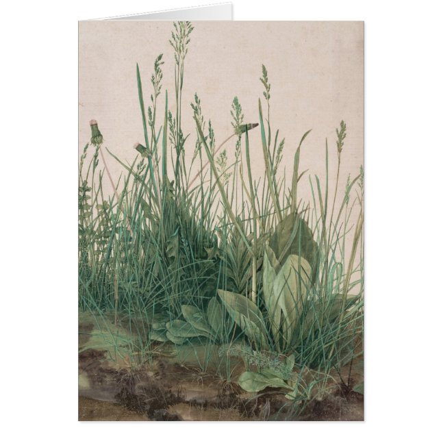 Albrecht Durer (Devant)