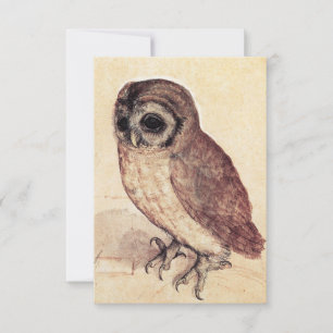 Albrecht Durer les invitations de petit hibou