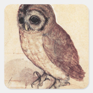 Albrecht Durer Les Stickers Little Owl