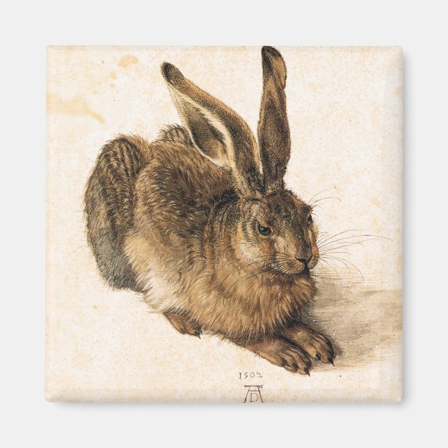 Albrecht Durer Young Hare Magnet (Devant)