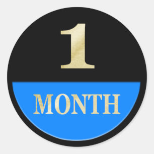 Album de Bébé Mensuel Stickers Journal