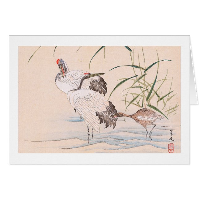 Album d'oiseau et de fleur, pataugeant l'art de (Devant Horizontal)