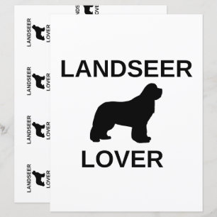 album scrapbook amateur de landseer double face