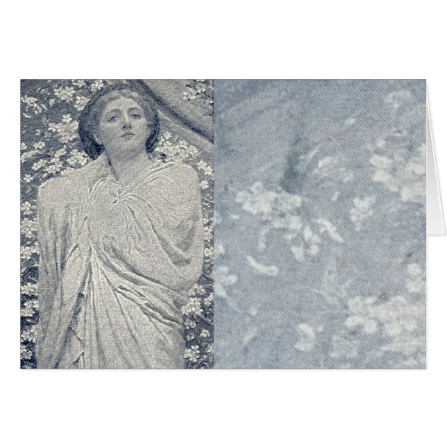 Alcinea 1 (Devant horizontal)