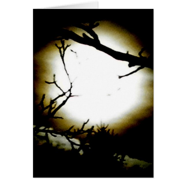 Alcool illégal (Devant)