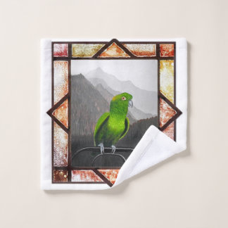 Aldo mon perroquet amazone