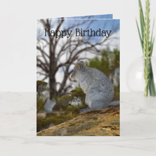 Alerte Quokka australienne, carte d'anniversaire,