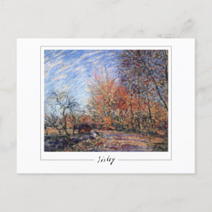 Alfred Sisley #372 - Carte postale Art