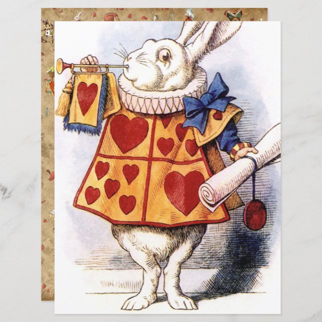 Alice au pays des merveilles, Livre blanc de lapin (Devant / Derrière)