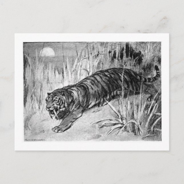 Alice B. Woodward : Carte postale (Devant)