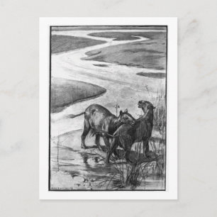 Alice B. Woodward : Carte postale d'art Hyracother