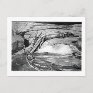 Alice B. Woodward : Carte postale d'art Metriorhyn