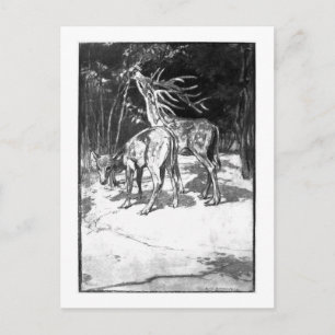 Alice B. Woodward : Carte postale de l'art Cervus