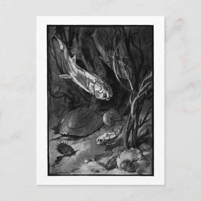 Alice B. Woodward : Carte postale de l'art de l'ép (Devant)