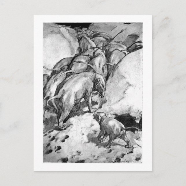 Alice B. Woodward : Carte postale de l'art de Moer (Devant)