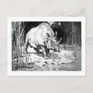 Alice B. Woodward : Carte postale de Titanotherium