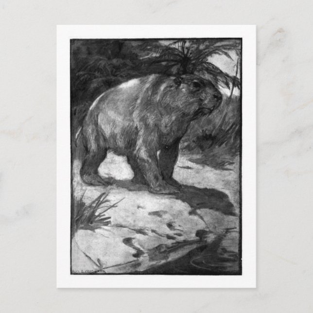 Alice B. Woodward : Carte postale Diprotodon art (Devant)