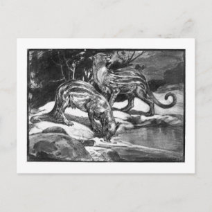 Alice B. Woodward : Carte postale Phenacodus art