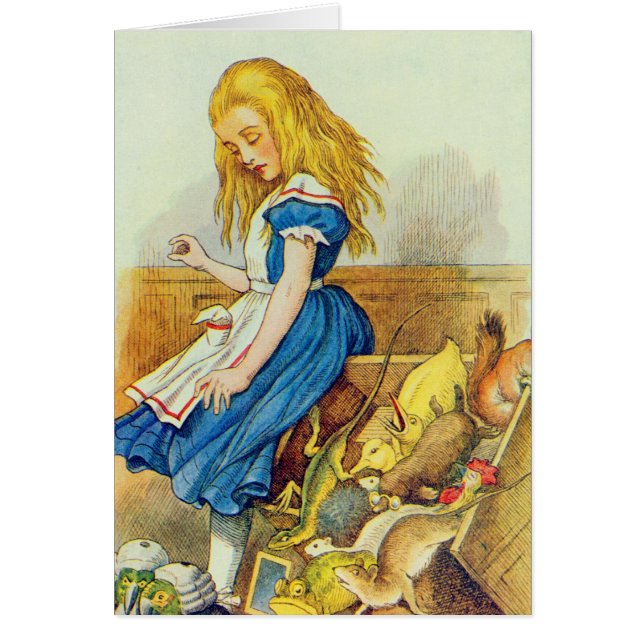 Alice dérange le Jury-Box (Devant)