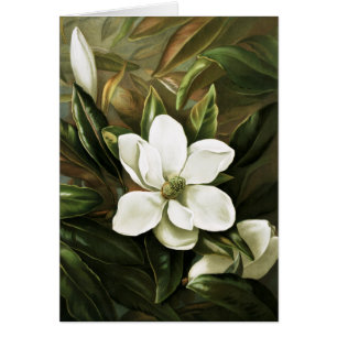 Alicia H. Laird : Magnolia Grandflora