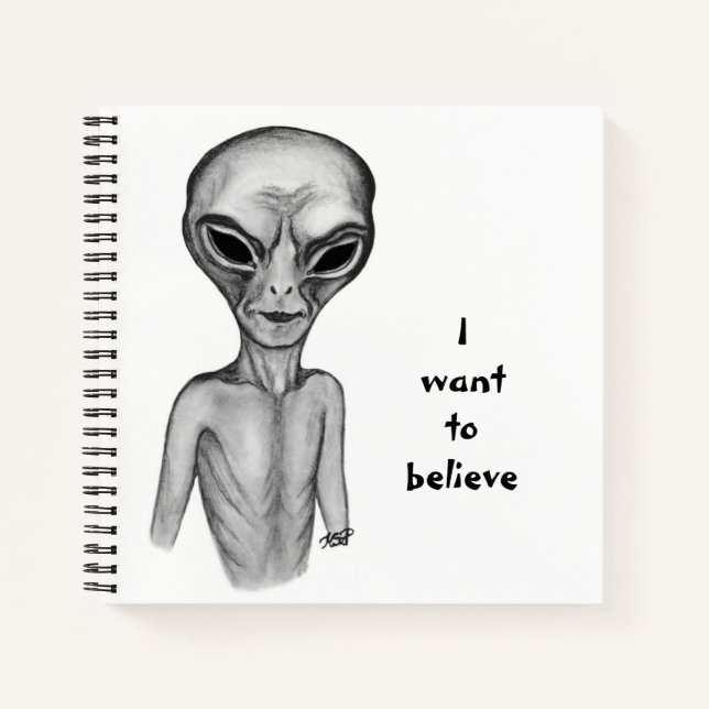 Alien gris, je veux croire Carnet (Devant)