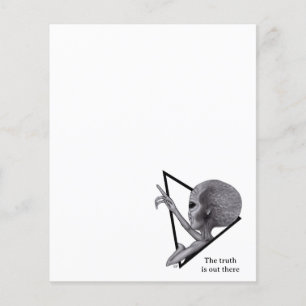 Alien gris, la vérité est là