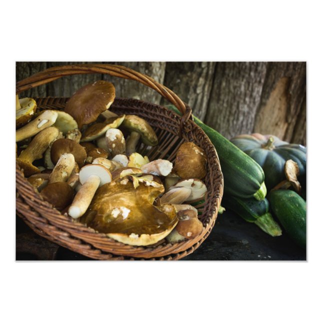 Alimentation d'automne encore vie photo imprimer (Devant)